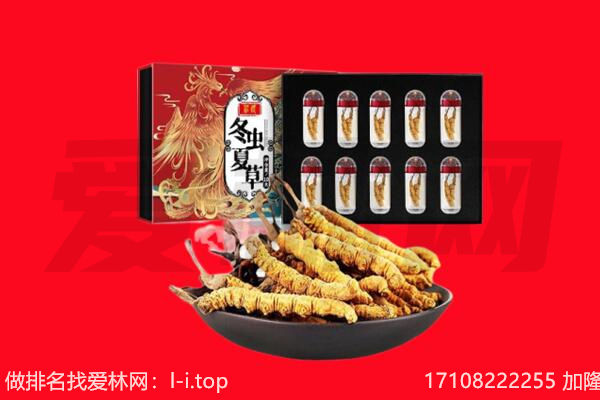 彭水县回收虫草.jpg